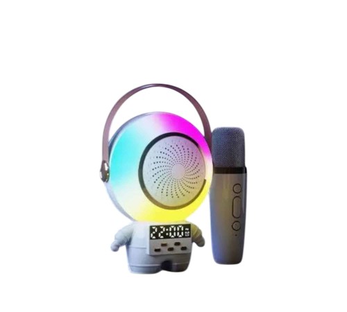 XM-X66 KARAOKE MİKROFON