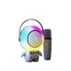 XM-X66 KARAOKE MİKROFON
