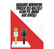 Karaoke Mikrofon Dahili Hoparlörlü Sd-usb-aux Girişli Bluetooth Hoparlör