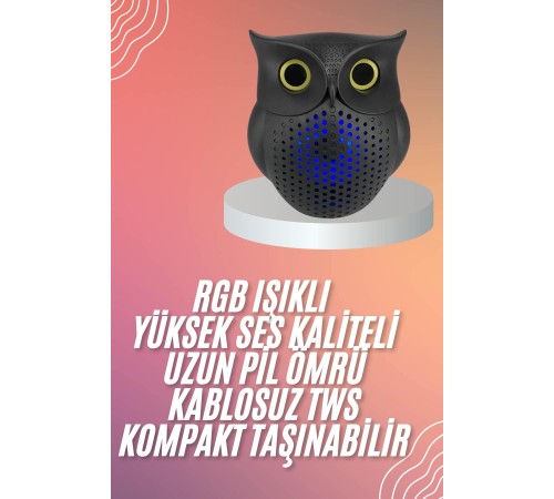 Müzik Çalar Bluetooth Hoparlör Speaker 5.0 Kablosuz Baykuş Görünümlü