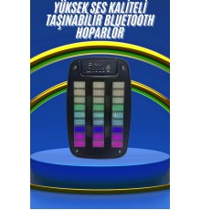 Kablosuz Hoparlör İOS ve Android Uyumlu Şarjlı SD Kart Girişli Bluetooth Hoparlör