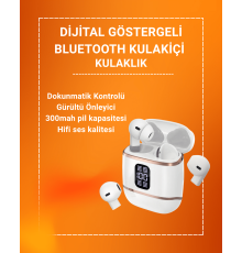 Çift Kulaklıklı Bluetooth Kulaklık – 4 Adet, ANC-ENC, Şarj Kutulu, Dijital Göstergeli