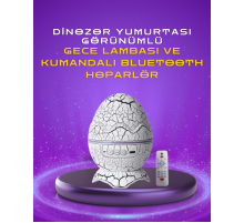 Ayarlanabilir Parlaklık ve Sis Efektli Atmosfer Lambası