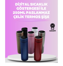 LED Sıcaklık Ölçerli 250 ml Yalıtımlı Termos Şişe