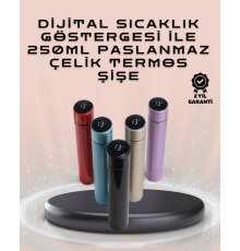 250ml LED Ekranlı Paslanmaz Çelik Akıllı Termos