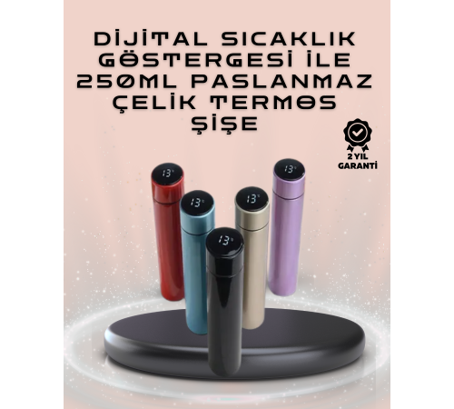 250ml LED Ekranlı Paslanmaz Çelik Akıllı Termos