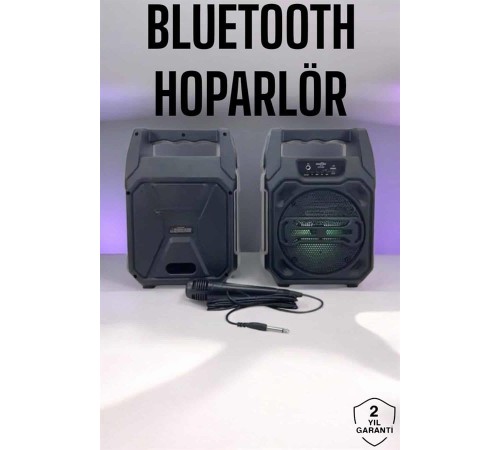 6.5 İnç Kablosuz Hoparlör Bluetooth Bağlantılı Yüksek Ses Kaliteli