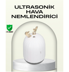 ABS+PP Malzemeli Taşınabilir 220 ml USB Mist Nemlendirici