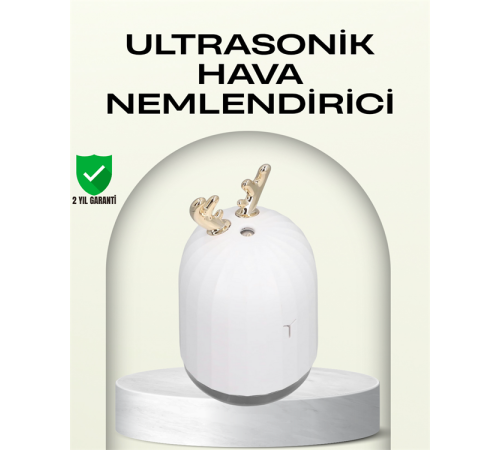 ABS+PP Malzemeli Taşınabilir 220 ml USB Mist Nemlendirici