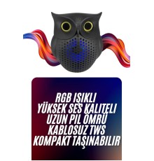 Baykuş Tasarımlı Mini Bluetooth Speaker Yüksek Ses Kaliteli Taşınabilir