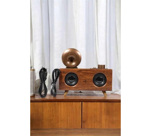 Bluetooth Hoparlör Ahşap Klasik Retro Gramofon Bluetooth Müzik Kutusu