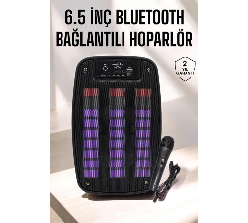 Bluetooth Hoparlör RGB Işıklı USB SD Kart Girişli Taşınabilir
