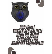 Bluetooth Hoparlör TWS Kablosuz RGB Işıklı Dekoratif Taşınabilir Baykuş