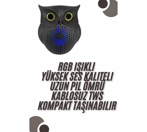 Bluetooth Hoparlör TWS Kablosuz RGB Işıklı Dekoratif Taşınabilir Baykuş