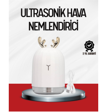 El Tipi USB Mini Soğuk Mist Nemlendirici 220 ml Tank