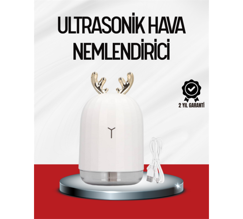 El Tipi USB Mini Soğuk Mist Nemlendirici 220 ml Tank