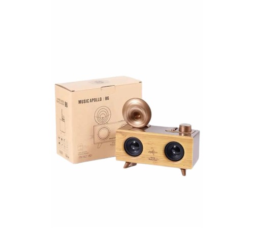 Gramafon Radyo Bluetooth Hoparlör Nostaljik Radyo FM Radyo