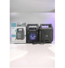 Kablosuz 6.5 İnç TWS Bluetooth Hoparlör