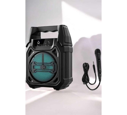 Kablosuz 6.5 İnç TWS Bluetooth Hoparlör