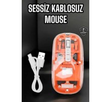 Kablosuz Mouse Fare 5.0 Bluetooth Bağlantılı USB Girişli