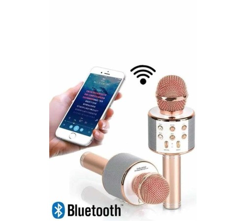 Karaoke Mikrofon Dahili Hoparlörlü Sd-usb-aux Girişli Bluetooth Hoparlör
