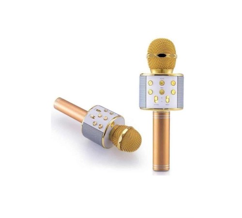 Karaoke Mikrofon Dahili Hoparlörlü Sd-usb-aux Girişli Bluetooth Hoparlör