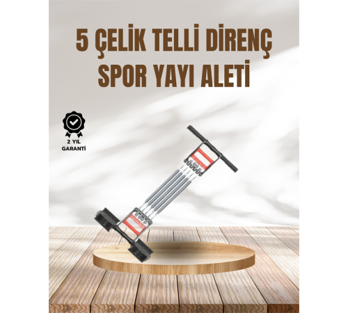 Kol, Sırt, Göğüs ve Karın Kasları İçin Profesyonel Antrenman Aparatı