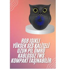 Müzik Çalar Bluetooth Hoparlör Speaker 5.0 Kablosuz Baykuş Görünümlü