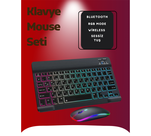 PG8033 Klavye Mouse Seti
