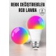 Renk Değiştirebilen RGB Işıklı Led Ampul A+Enerji 15 Watt Led Işık