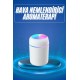Rgb Işıklı Ulrasonik Ledli Hava Nemlendirici Buhar Makinesi Buhardanlık