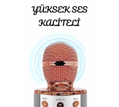 Şarjlı ve Uzun Pil Ömürlü Karaoke Mikrofon USB Bellek Destekli, Profesyonel Ses