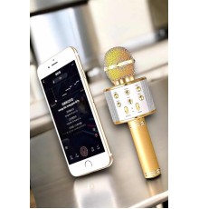 Şarjlı ve Uzun Pil Ömürlü Karaoke Mikrofon USB Bellek Destekli, Profesyonel Ses