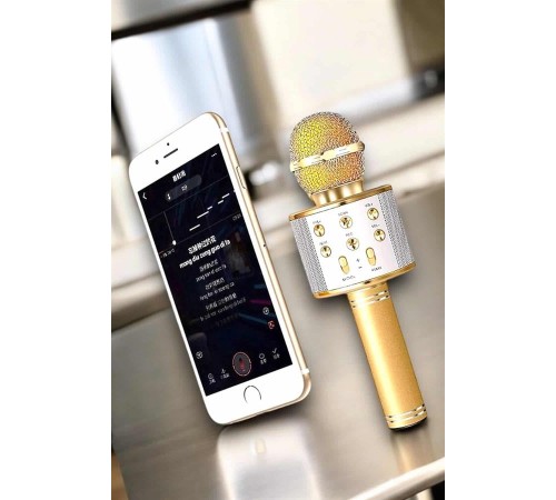 Şarjlı ve Uzun Pil Ömürlü Karaoke Mikrofon USB Bellek Destekli, Profesyonel Ses