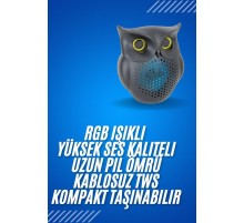 Siyah Bluetooth Hoporlör Baykuş Speaker Bluetooth 5.0 Bağlantılı