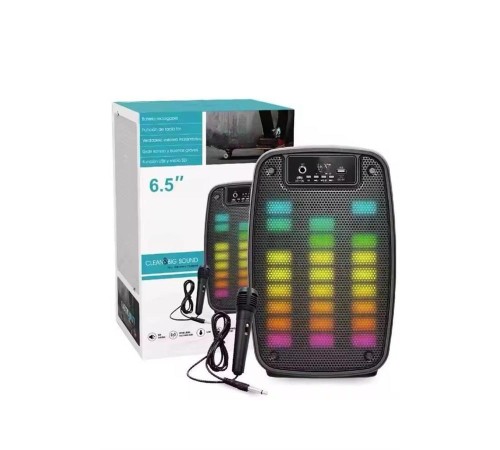Taşınabilir 6.5 inç LED Bluetooth Kareoke Hoparlör RGB Işıklı Radyolu