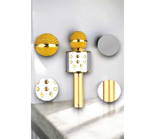 Taşınabilir Bluetooth Karaoke Mikrofon: Hafıza Kart Girişli, Etkileyici Performans