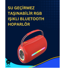 USB/SD/AUX Girişli Hoparlör – 10 W × 2 Çift Sürücü