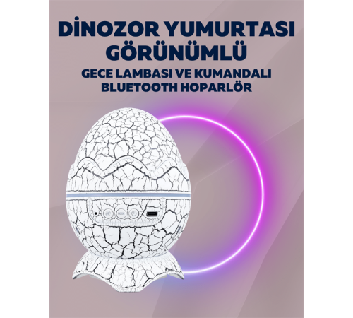 Yıldız Gökyüzü Efektli Çok Modlu Gece Işığı