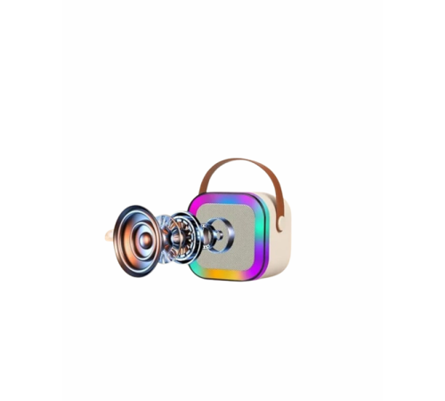 İki Mikrofonlu Renkli LED Işıklı Karaoke Cihazı