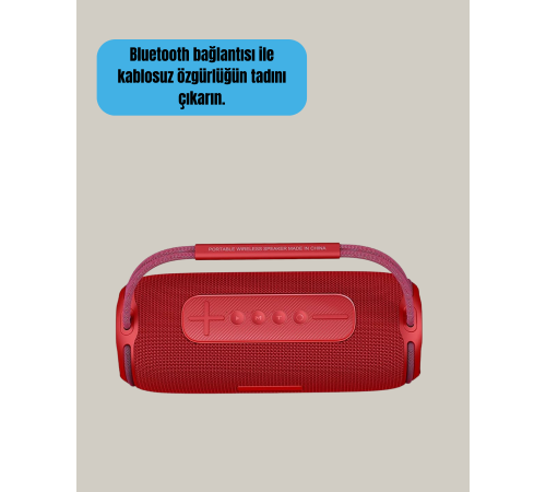 Suya Dayanıklı 20W RGB Hoparlör Bluetooth, USB, SD Kart ve AUX Girişli