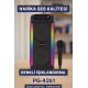 Ev ve Dış Mekan Kullanımına Uygun RGB Işıklı Hoparlör