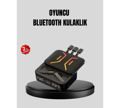3’ü 1 Arada Kablolu ve Kablosuz Bluetooth 5.3 Kulaklık