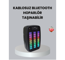 Kablosuz Bluetooth Müzik Cihazı – 2 Saat Batarya Süresi, Şık ve Taşınabilir