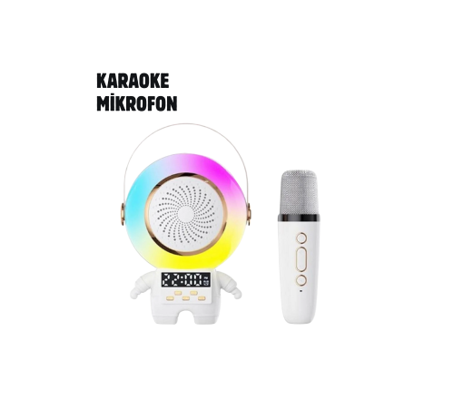 TK-66 KARAOKE SPEAKER