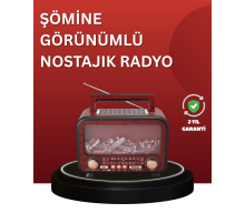 Solar Panelli Alev Işıklı Bluetooth Hoparlör – Çoklu Giriş, Uzun Pil Ömrü