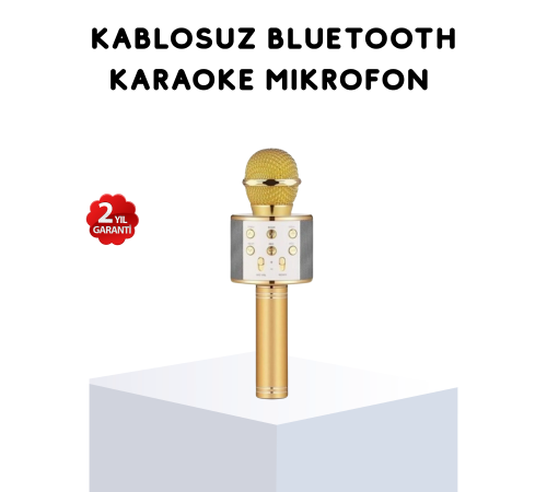 Karaoke Mikrofonu Bluetooth USB AUX Girişli Yankı Efektli