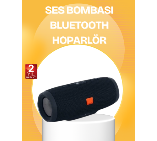 Taşınabilir Bluetooth Hoparlör 20W Güçlü Stereo Suya Dayanıklı
