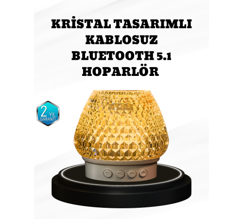 RGB LED Işıklı Kristal Tasarım Bluetooth 5.1 Hoparlör 5W Taşınabilir