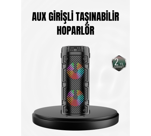 Kablosuz Stereo Hoparlör USB + SD Kart + AUX Destekli Bluetooth 5.0